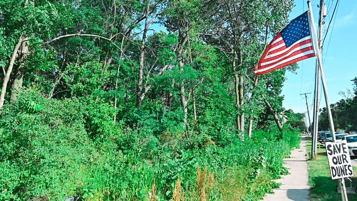 Will Karen Tallian use her voice to hold Mayor Tom McDermott accountable for an avoidable environmental tragedy?